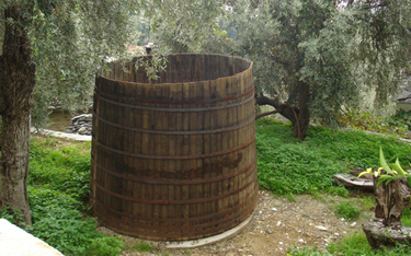 Olive Museum